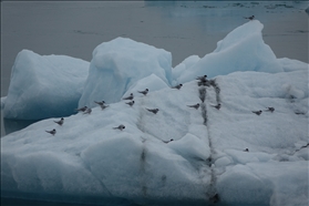 Jökulsárlón